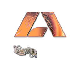 accessory-img