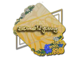 accessory-img