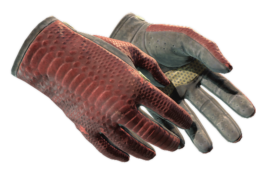 ★ Driver Gloves | Dragon Fists