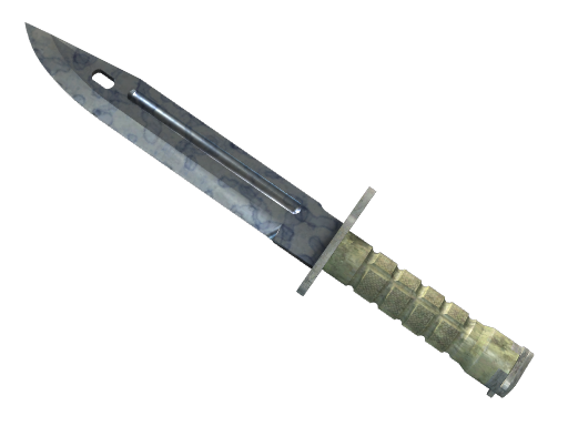 ★ StatTrak™ Bayonet | Stained
