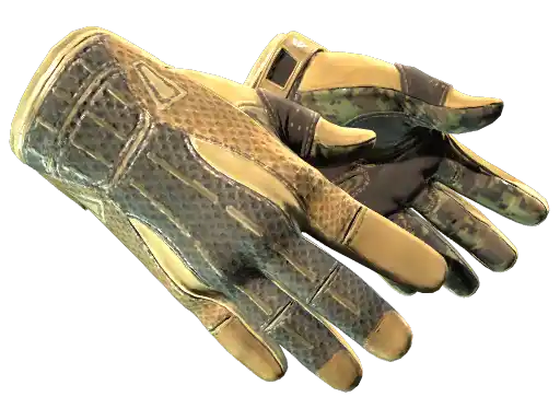 ★ Sport Gloves | Arid