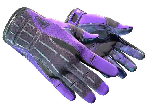 ★ Sport Gloves | Pandora's Box