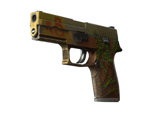 StatTrak™ P250 | Inferno