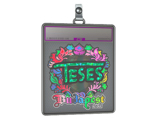 Sticker Slab | TeSeS (Holo) | Budapest 2025
