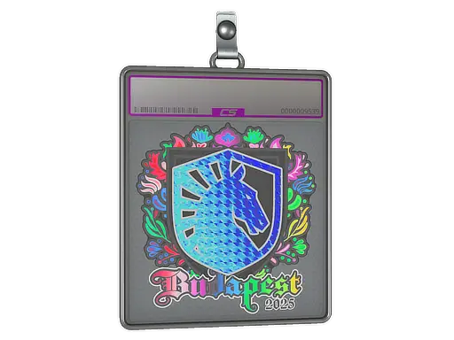 Sticker Slab | Team Liquid (Holo) | Budapest 2025