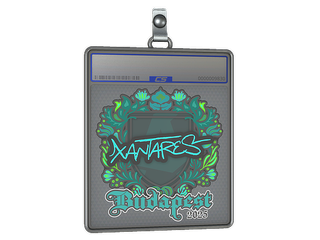 Sticker Slab | XANTARES | Budapest 2025