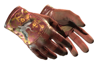 ★ Driver Gloves | Brocade Crane