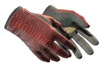 ★ Driver Gloves | Dragon Fists