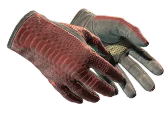 ★ Driver Gloves | Dragon Fists