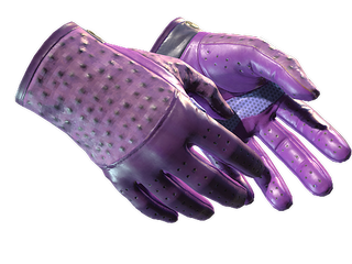 ★ Driver Gloves | Plum Quill