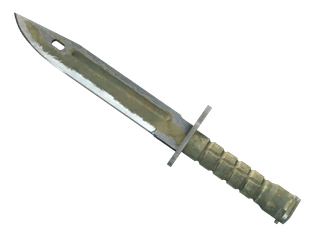 ★ StatTrak™ Bayonet | Safari Mesh