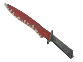 ★ StatTrak™ Classic Knife | Crimson Web