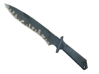 ★ StatTrak™ Classic Knife | Night Stripe