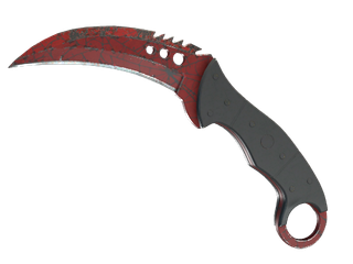★ StatTrak™ Talon Knife | Crimson Web
