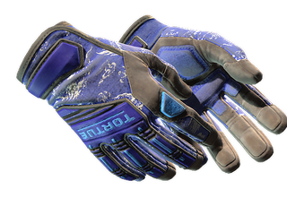 ★ Specialist Gloves | Cloud Chaser