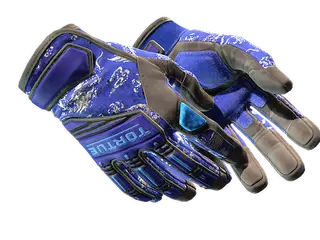 ★ Specialist Gloves | Cloud Chaser