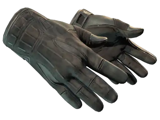 ★ Sport Gloves | Nocts