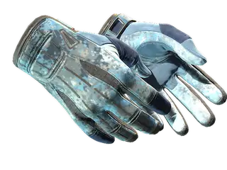 ★ Sport Gloves | Frosty