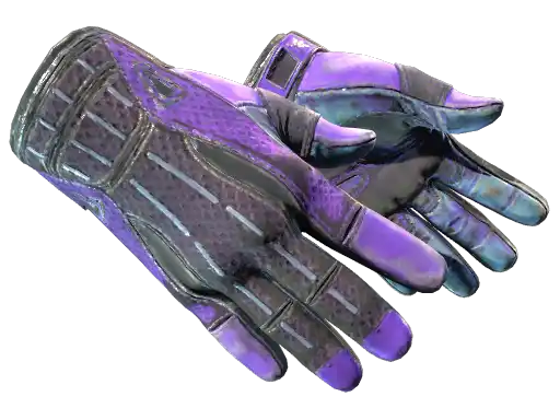 ★ Sport Gloves | Pandora's Box