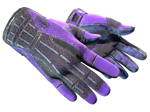 ★ Sport Gloves | Pandora's Box
