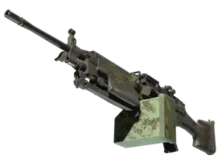 M249 | Jungle DDPAT