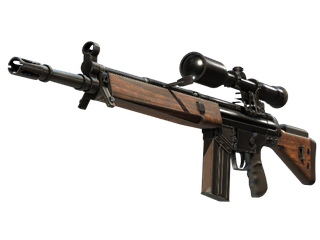 StatTrak™ G3SG1 | Hunter