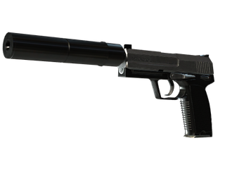 StatTrak™ USP-S | Stainless