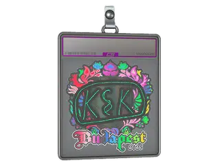 Sticker Slab | kyousuke (Holo) | Budapest 2025
