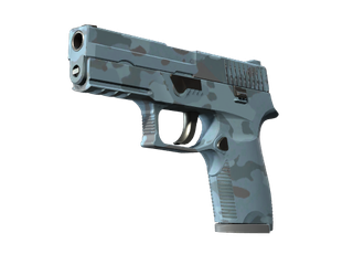 P250 | Forest Night
