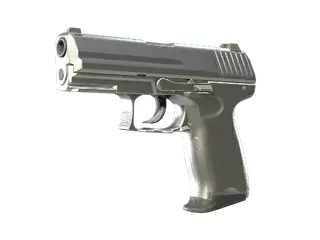P2000 | Silver