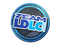 Sticker | Team LDLC.com | Cologne 2014 Sticker | Team LDLC.com | Cologne 2014